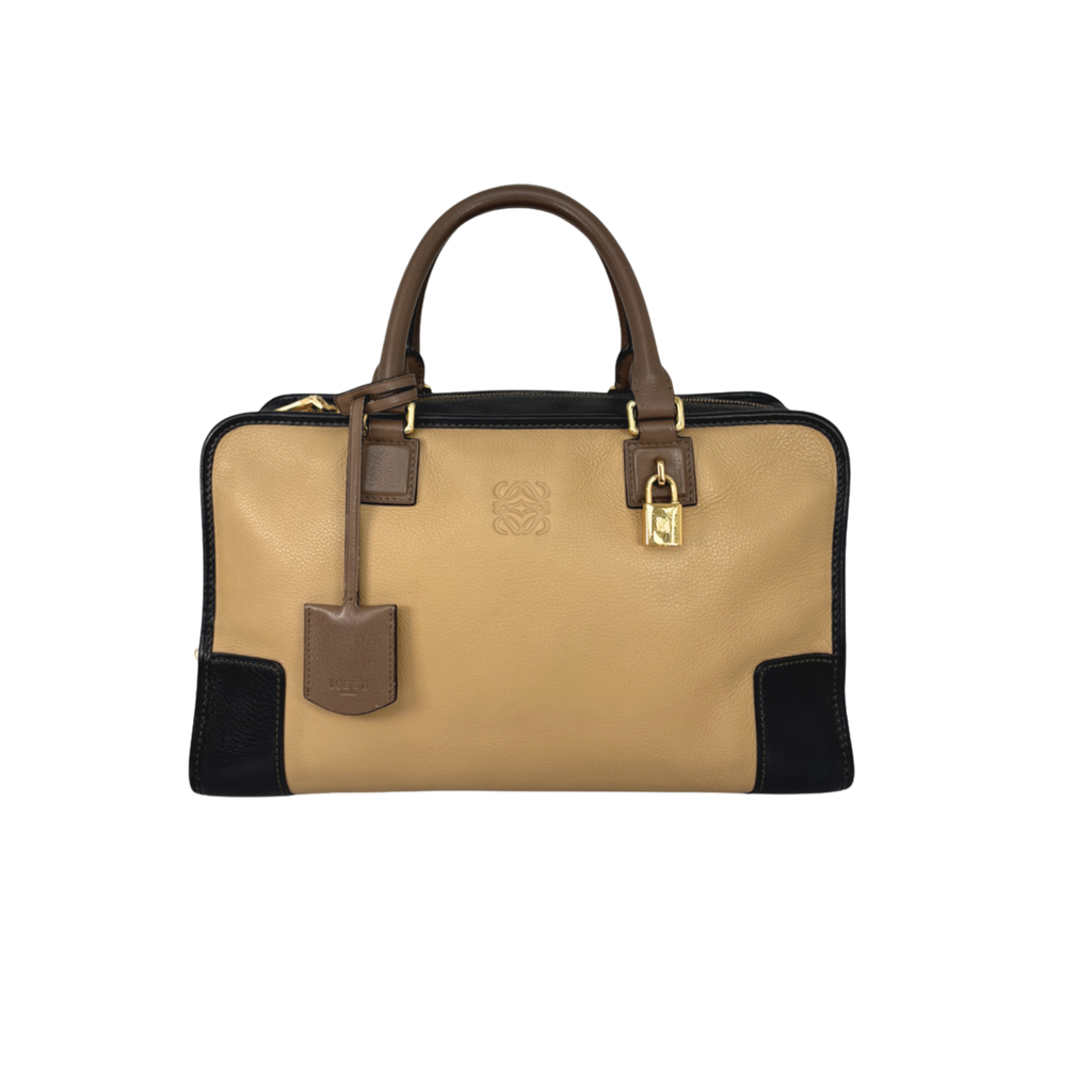 Amazona Tri-color Handbag Gold Hardware