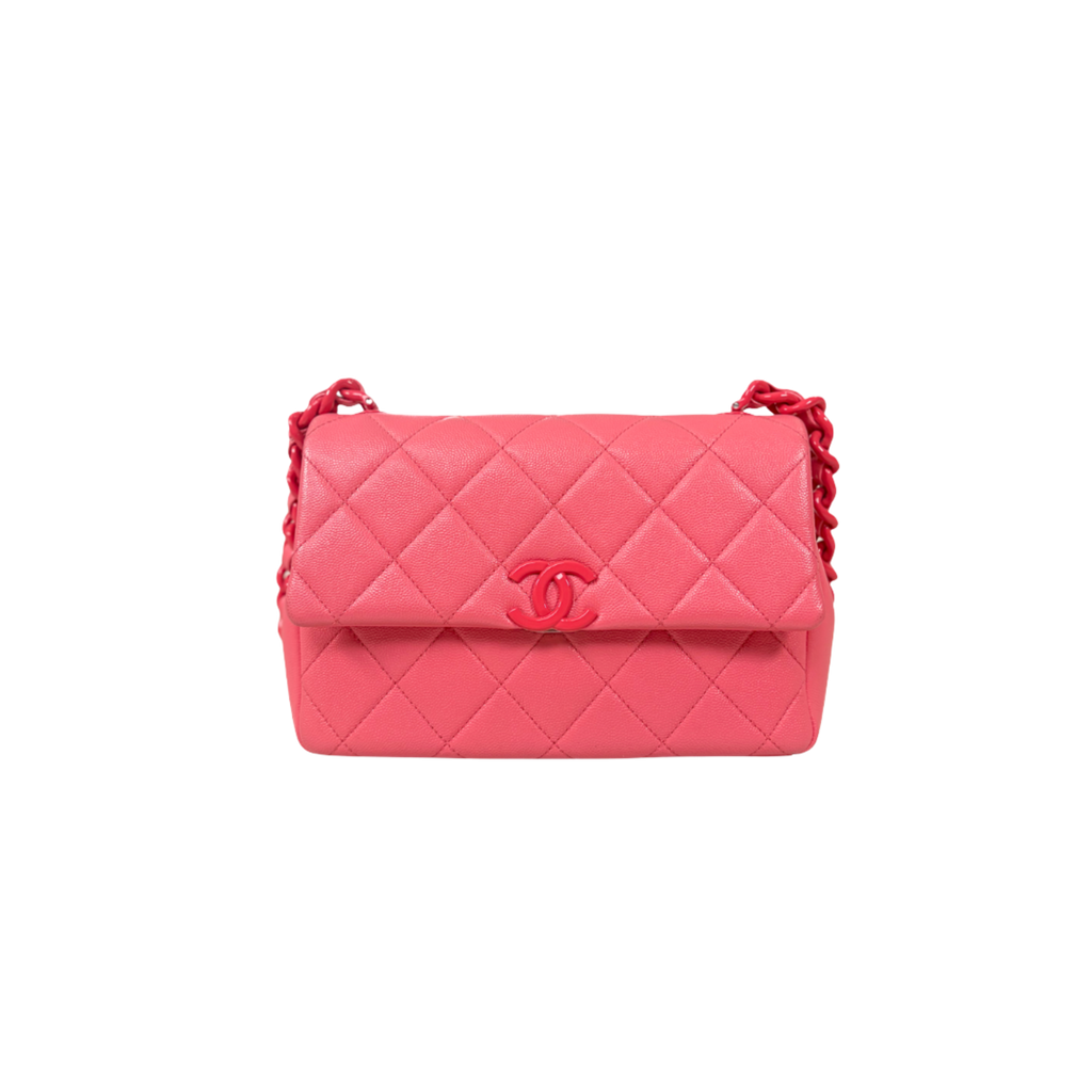 Runway All Pink Flap Bag Caviar Leather Series 30