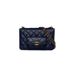 Pocket Twins Wallet On Chain Mini Navy Blue Caviar Gold Hardware Microchipped