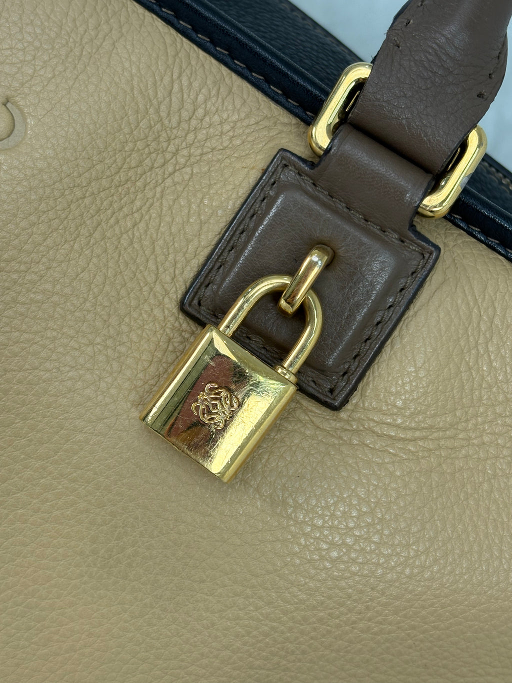 Amazona Tri-color Handbag Gold Hardware