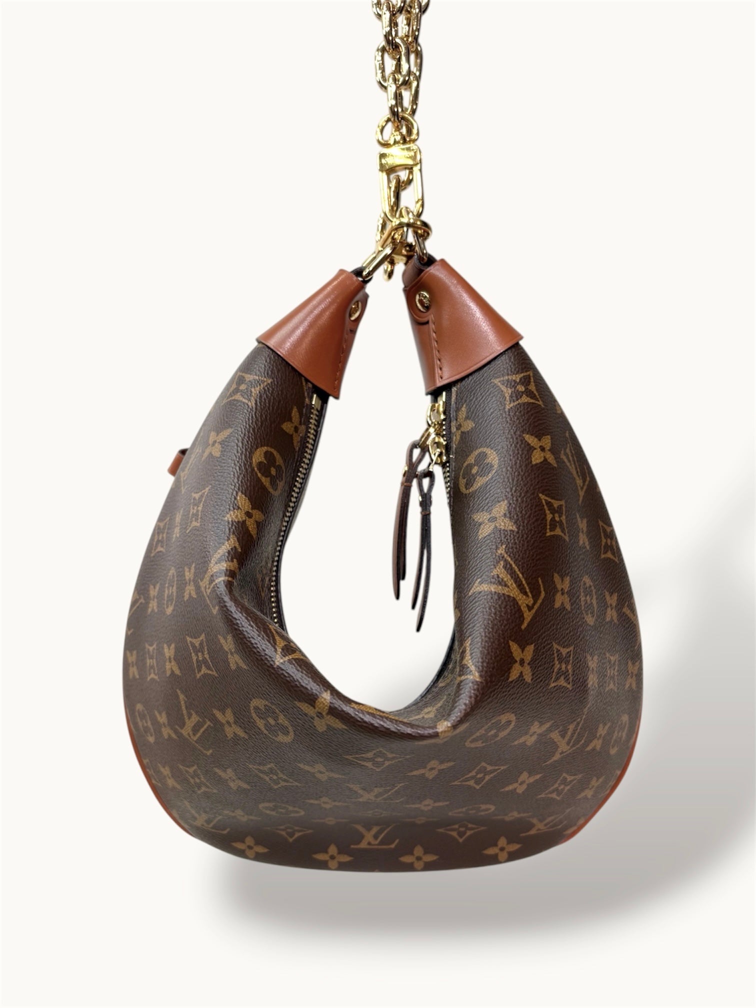 Loop Hobo Monogram Canvas Gold Hardware