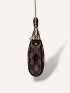 Eva Clutch Damier Ebene Gold-Tone Chain Strap