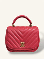 Coral Reversed Mini Chevron Lambskin Leather Series 24