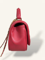 Coral Reversed Mini Chevron Lambskin Leather Series 24