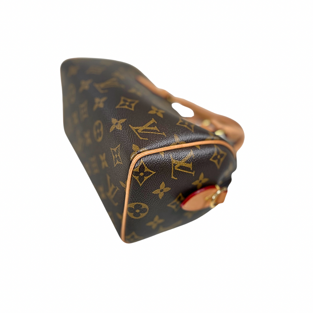 Speedy Bandoulière 20 Monogram Canvas Gold Hardware