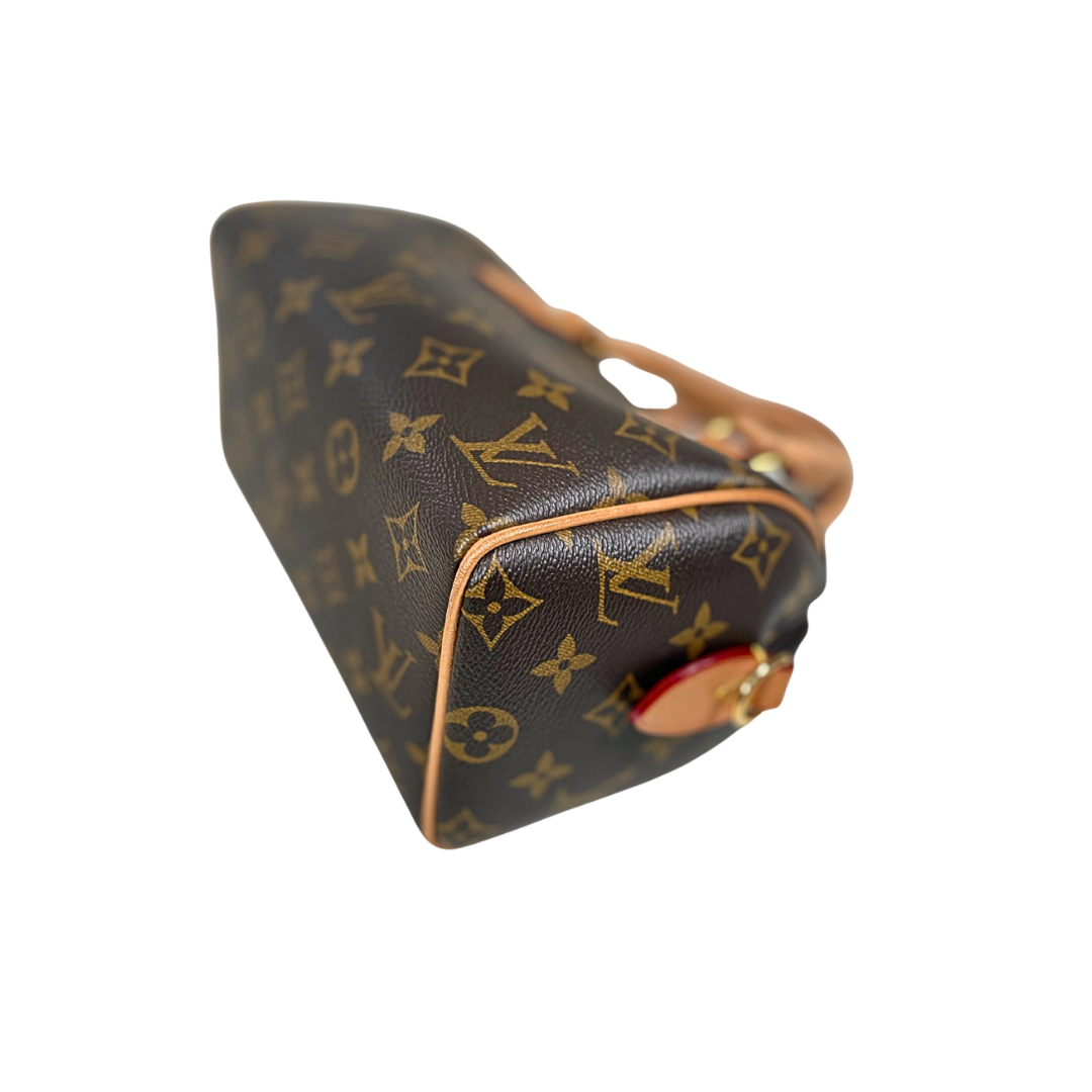 Speedy Bandoulière 20 Monogram Canvas Gold Hardware