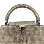 Lizard Capucines Metallic Gold Mini Bag  Silver Hardware