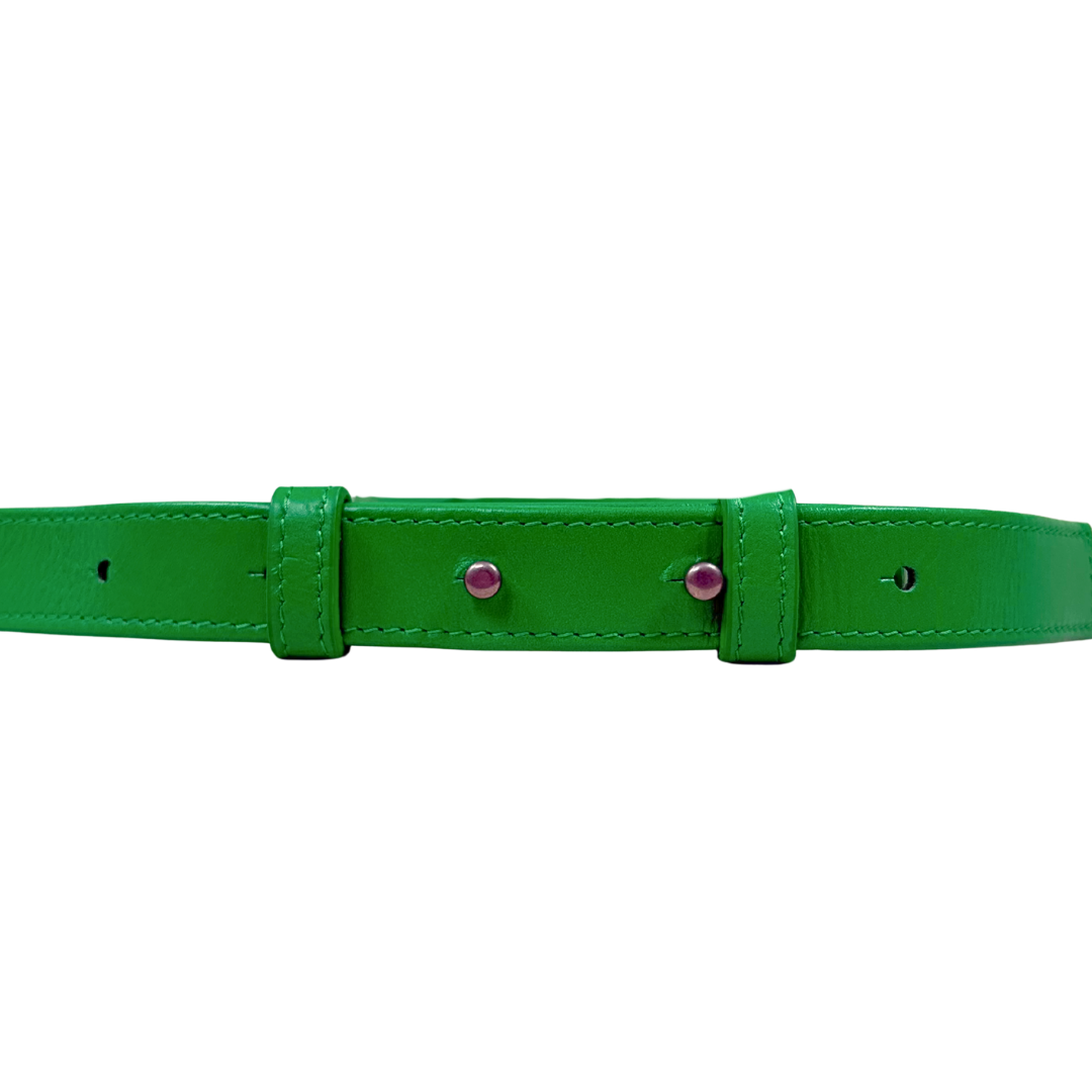 Candy Cassette Mini Crossbody Bag Parakeet Green