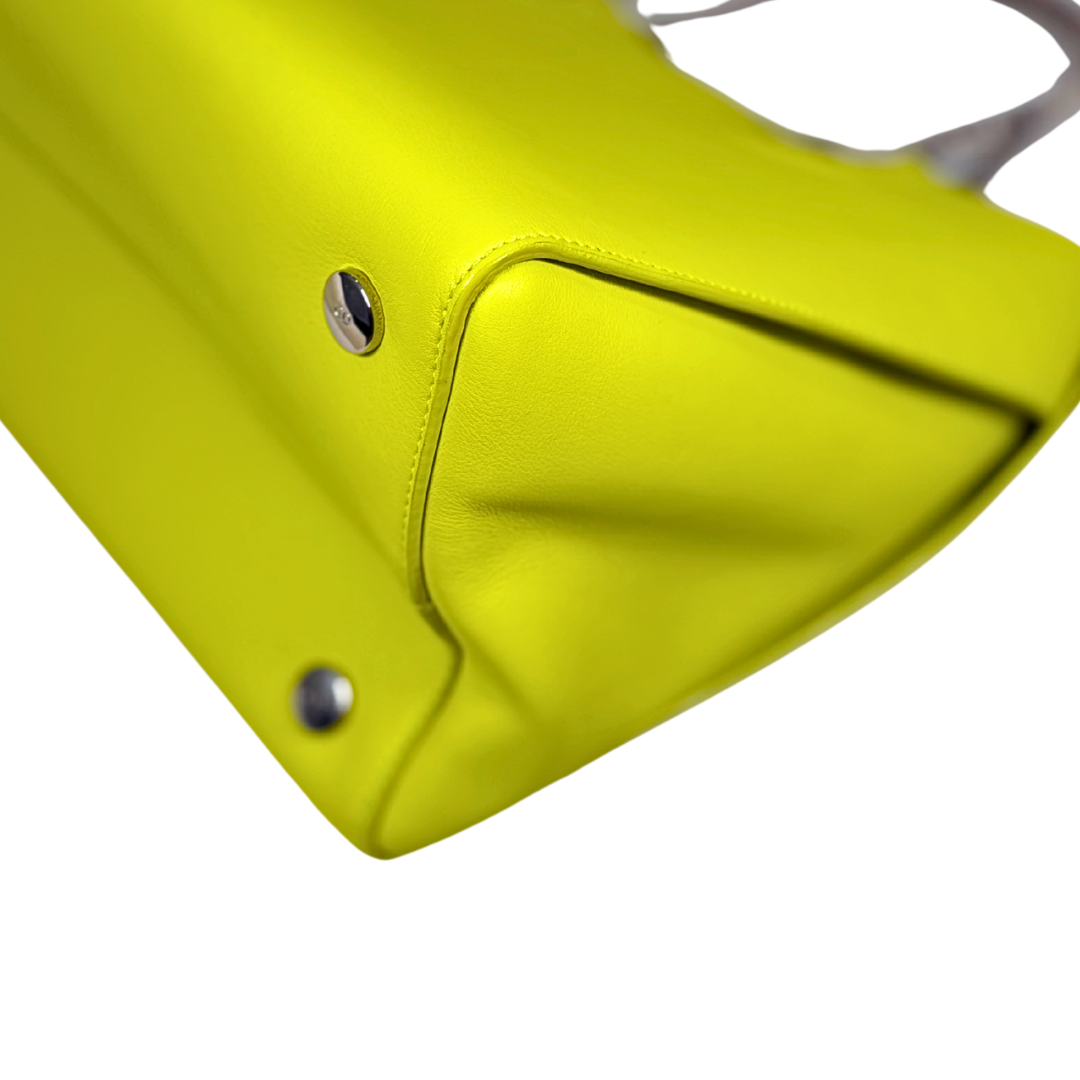 Addict Tote Bag Exotic Leather Green Gold Hardware