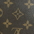 Pochette Félicie Monogram Canvas Gold-Tone Hardware