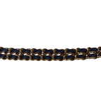 Pocket Twins Wallet On Chain Mini Navy Blue Caviar Gold Hardware Microchipped