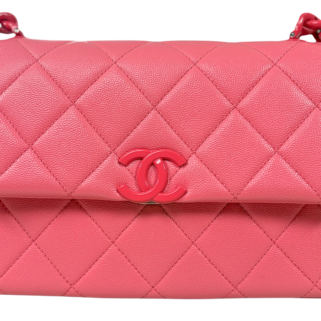 Runway All Pink Flap Bag Caviar Leather Series 30