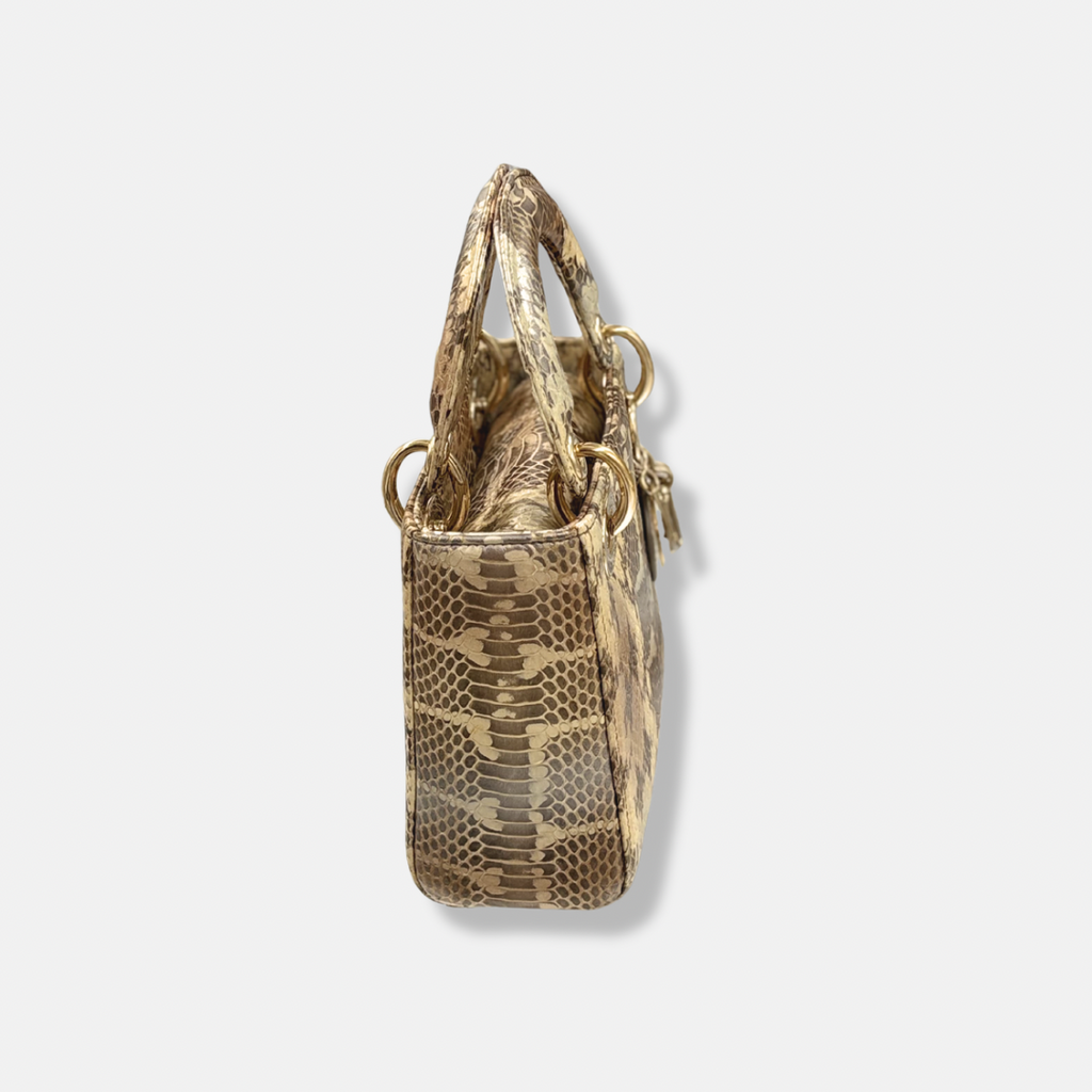 Mini Lady Dior Python Snakeskin Gold Hardware