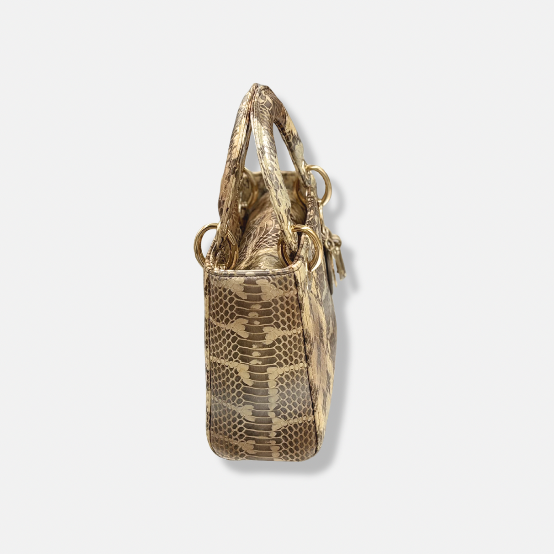 Mini Lady Dior Python Snakeskin Gold Hardware