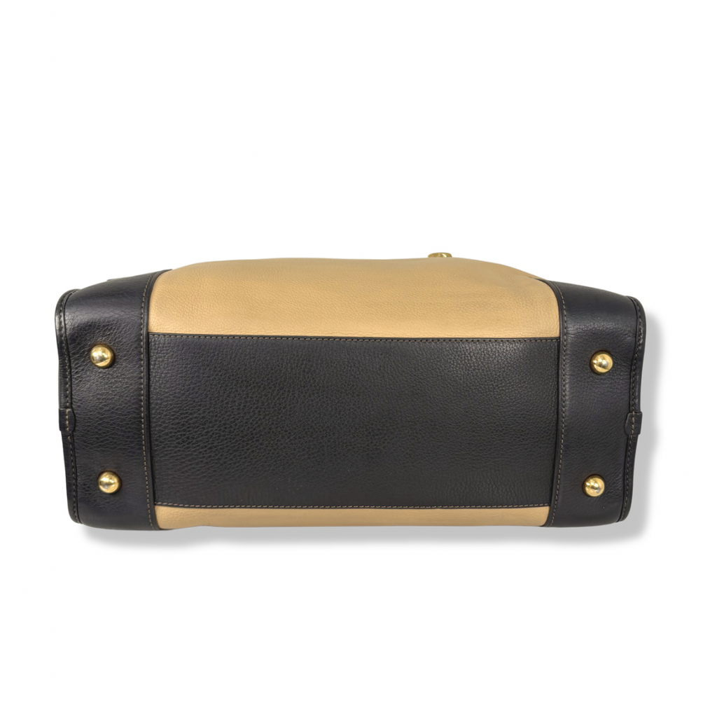 Amazona Tri-color Handbag Gold Hardware