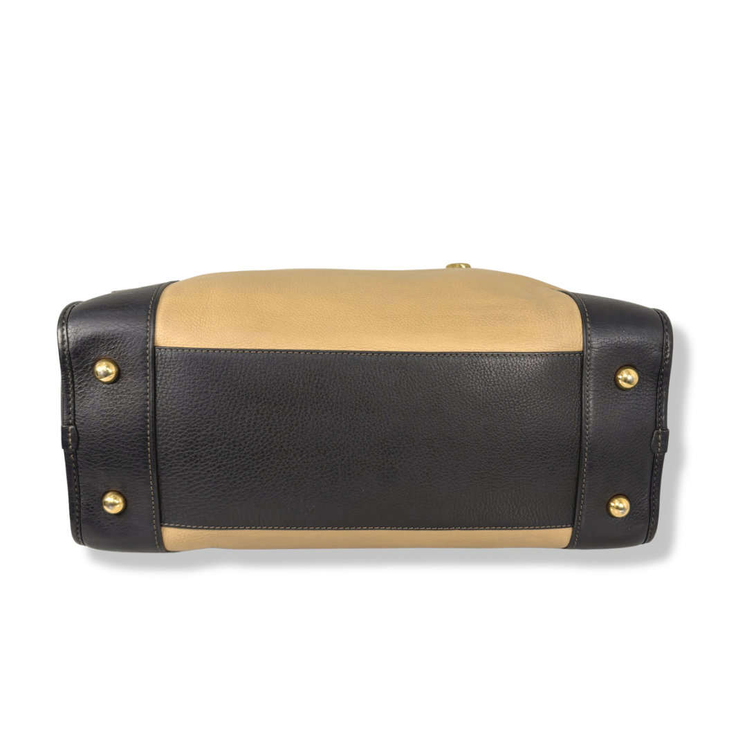 Amazona Tri-color Handbag Gold Hardware