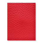 Taurillon Capucines Mini Bag Coral & Light Blue Colorway