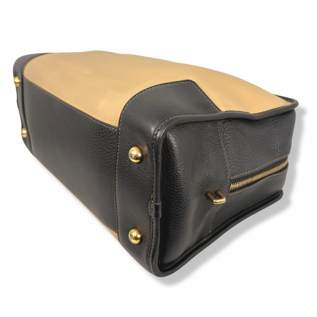 Amazona Tri-color Handbag Gold Hardware