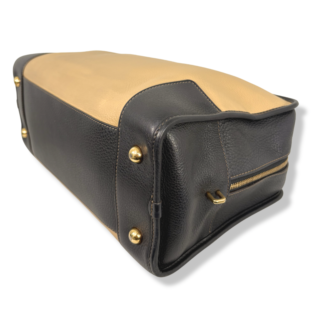 Amazona Tri-color Handbag Gold Hardware