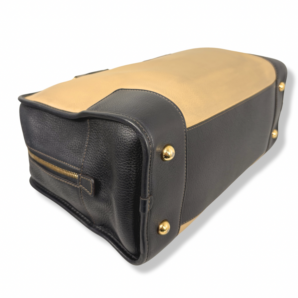 Amazona Tri-color Handbag Gold Hardware
