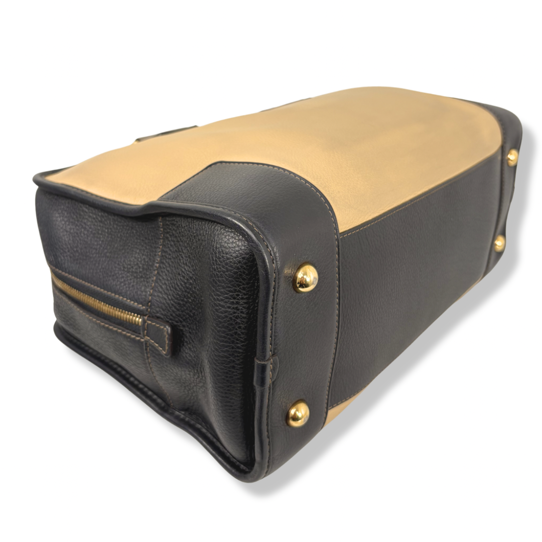 Amazona Tri-color Handbag Gold Hardware