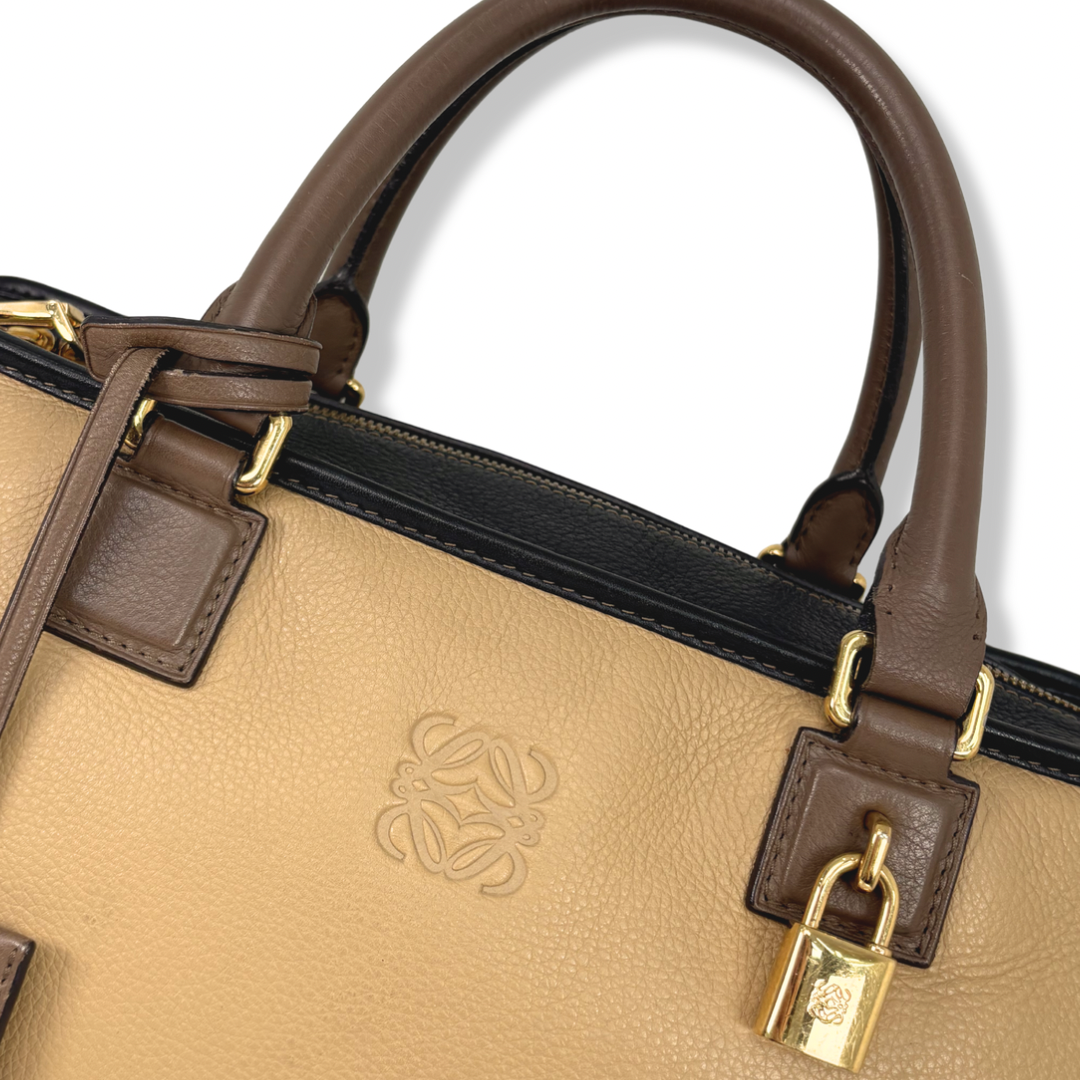 Amazona Tri-color Handbag Gold Hardware