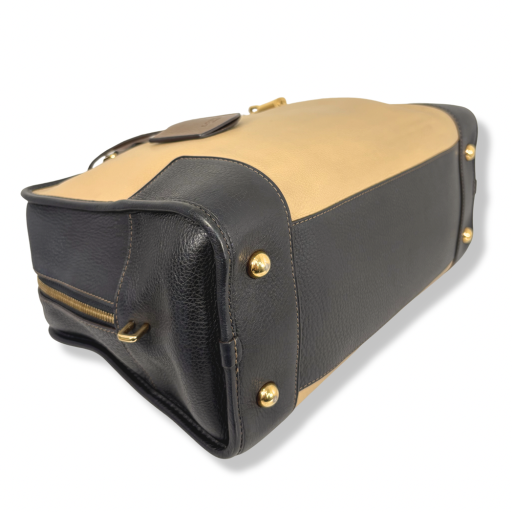 Amazona Tri-color Handbag Gold Hardware