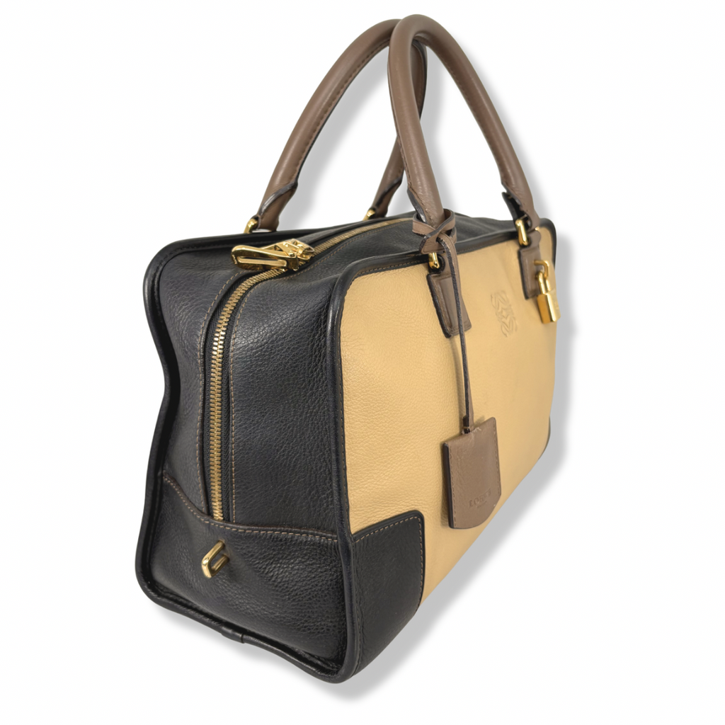 Amazona Tri-color Handbag Gold Hardware