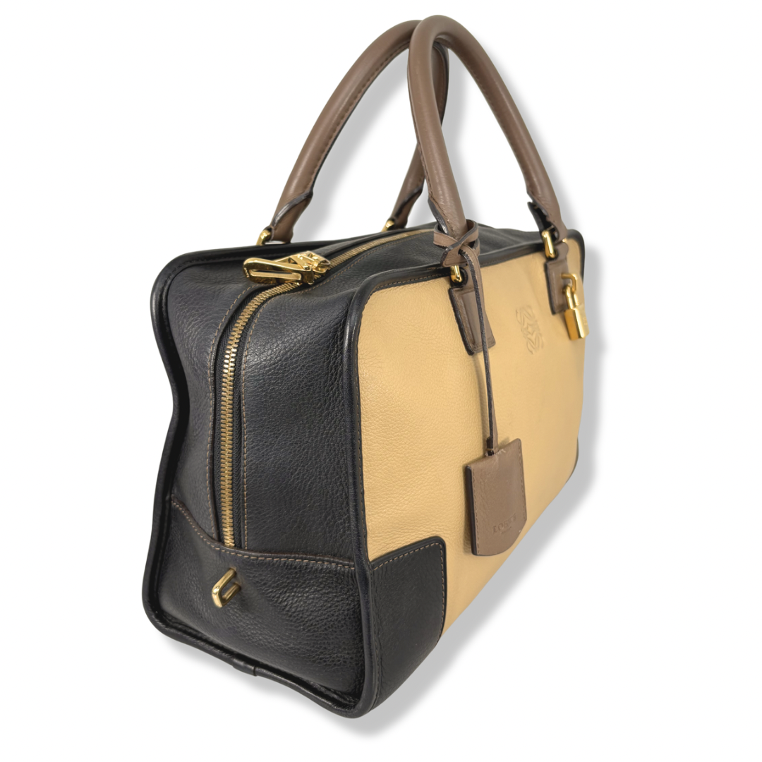 Amazona Tri-color Handbag Gold Hardware