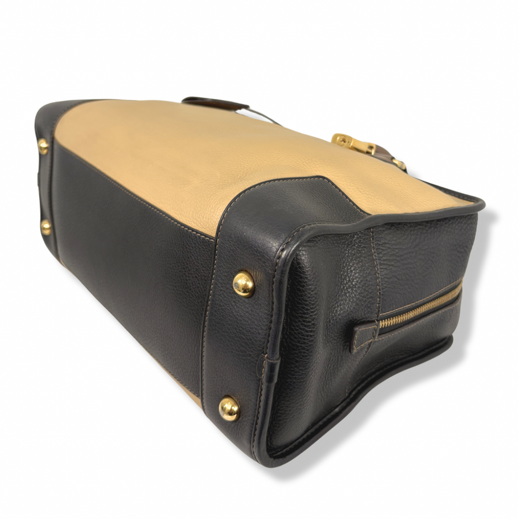 Amazona Tri-color Handbag Gold Hardware