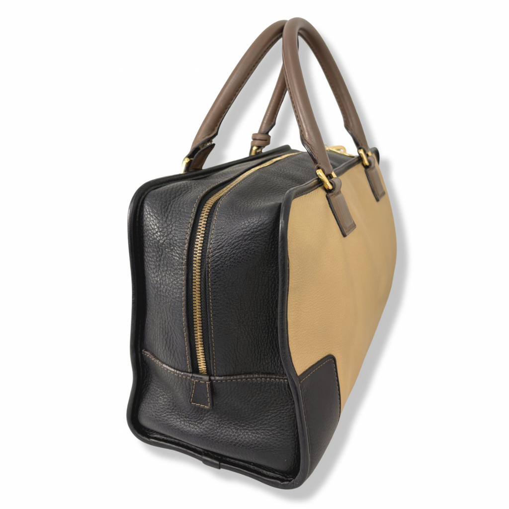 Amazona Tri-color Handbag Gold Hardware