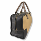Amazona Tri-color Handbag Gold Hardware