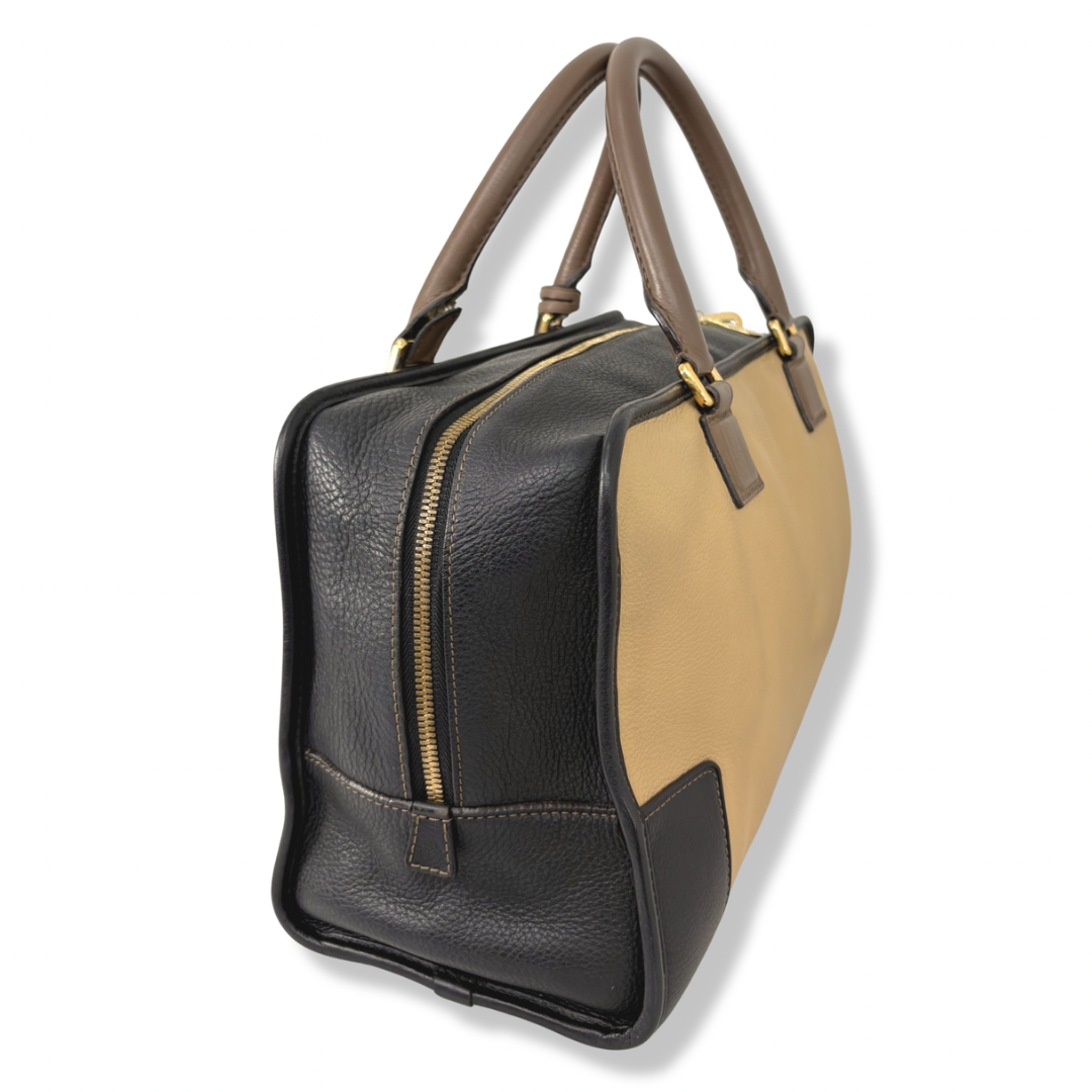 Amazona Tri-color Handbag Gold Hardware