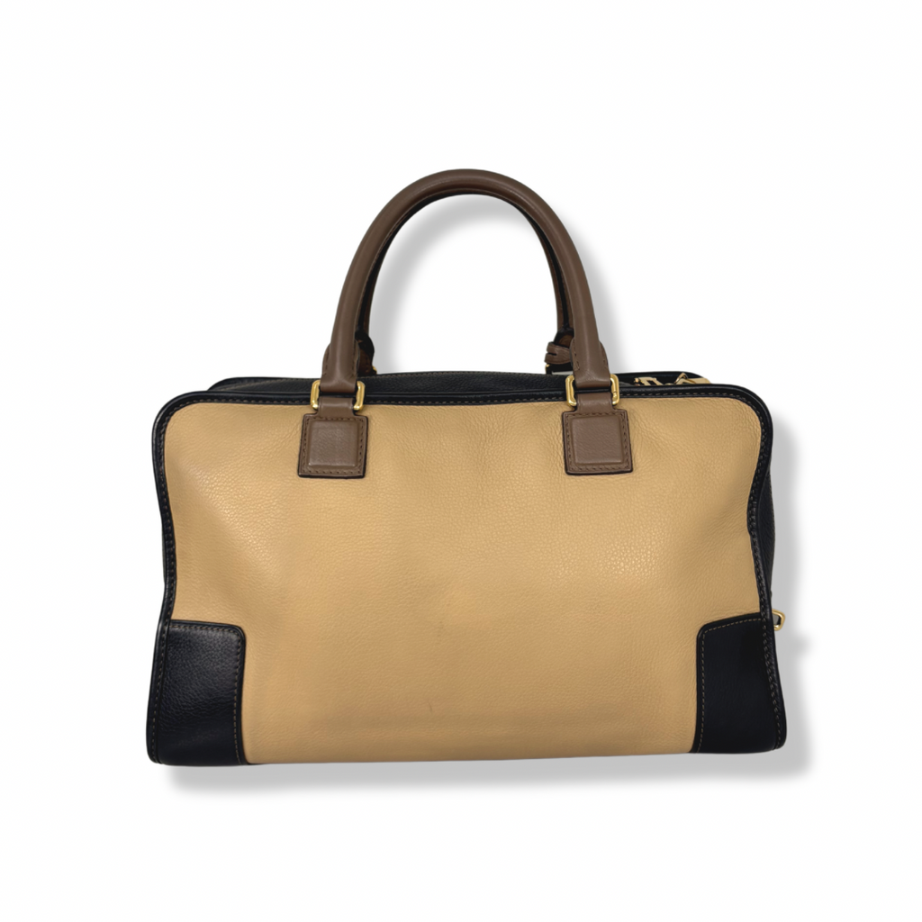 Amazona Tri-color Handbag Gold Hardware