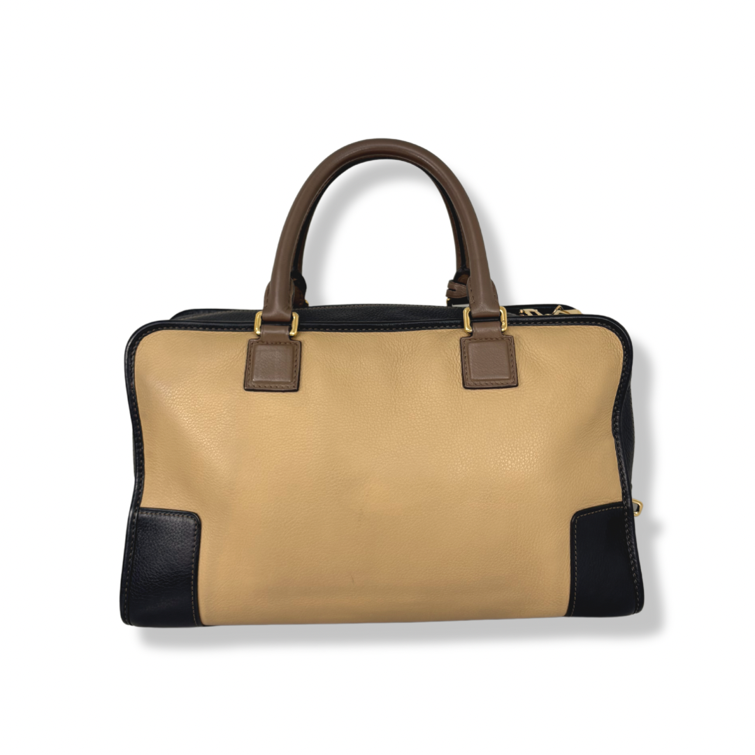 Amazona Tri-color Handbag Gold Hardware