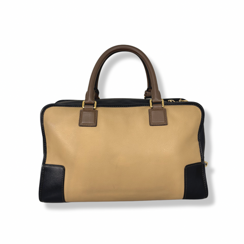Amazona Tri-color Handbag Gold Hardware