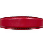 Sylvie Mini Red Cherry Line Gold Hardware