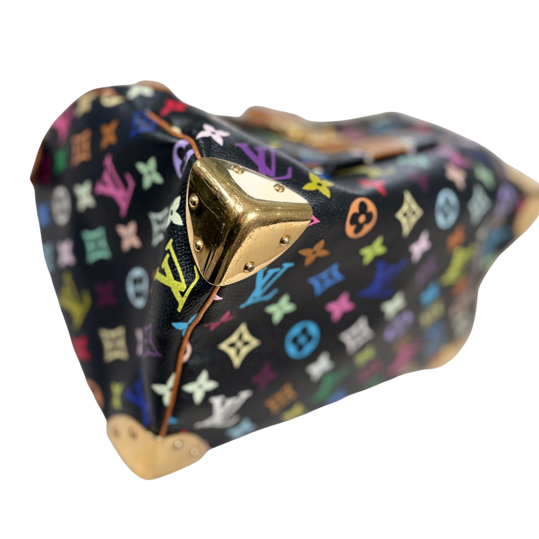 Speedy 30 Takashi Murakami Multicolor Gold Hardware